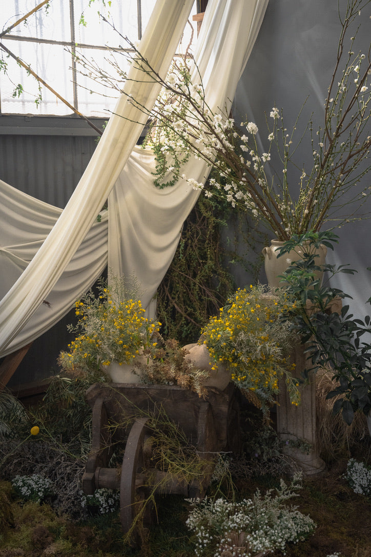 Photo Studio Session (Holiday Edition)