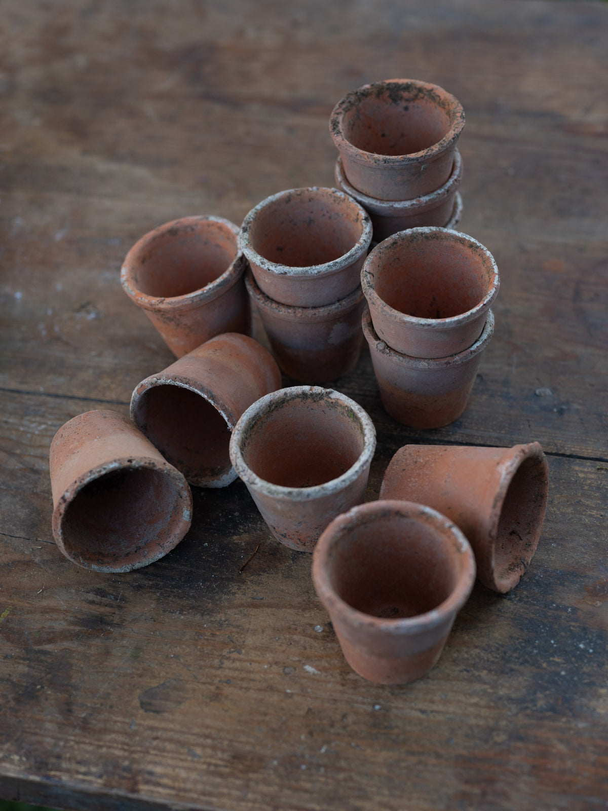 Vintage French Terracotta Planters | Tiny