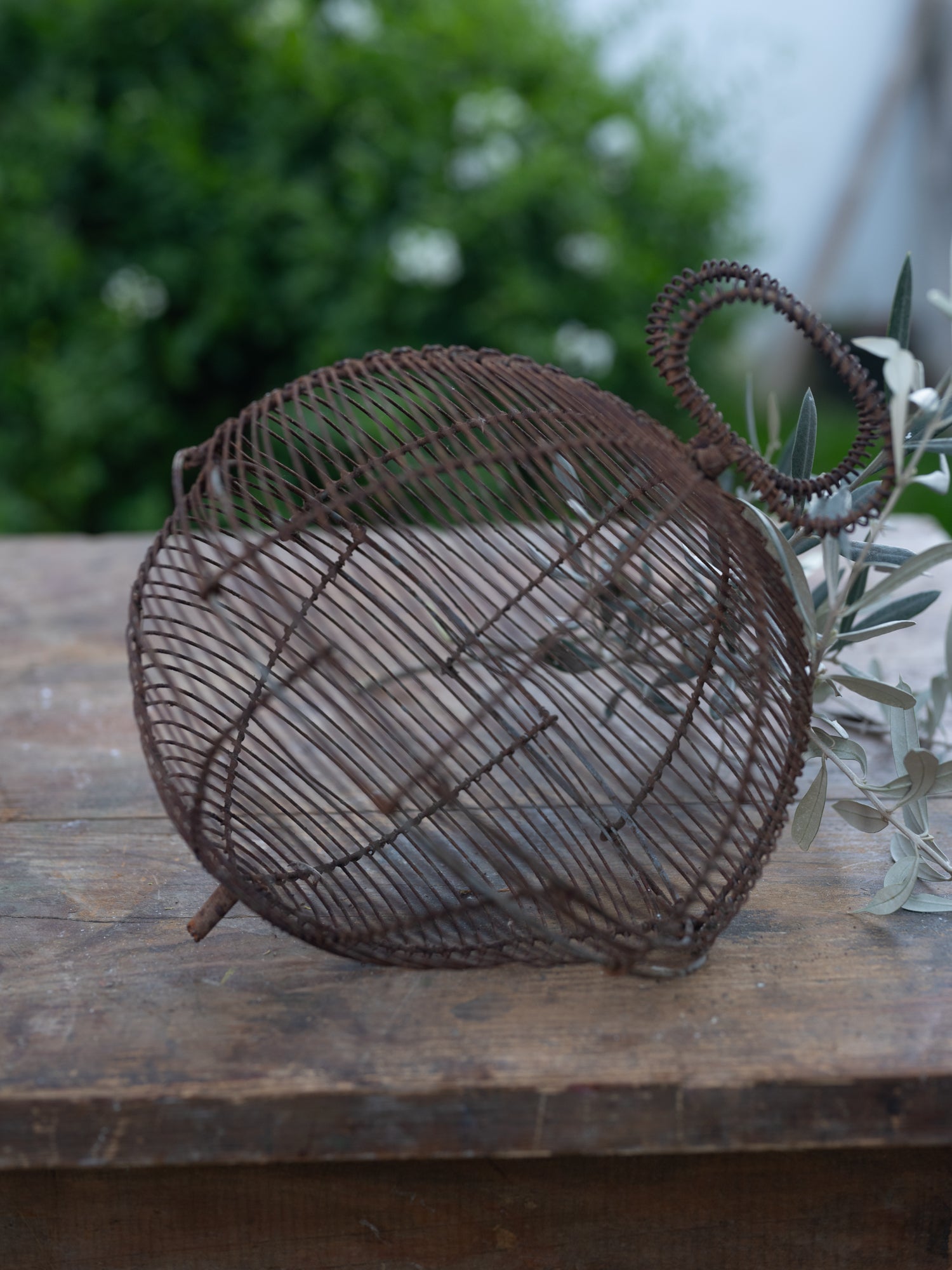 Vintage French Lettuce Ringer