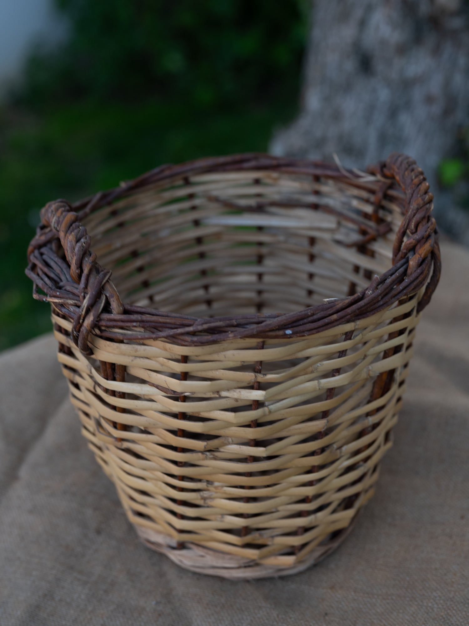 Vintage French Basket | Double Handle | Border