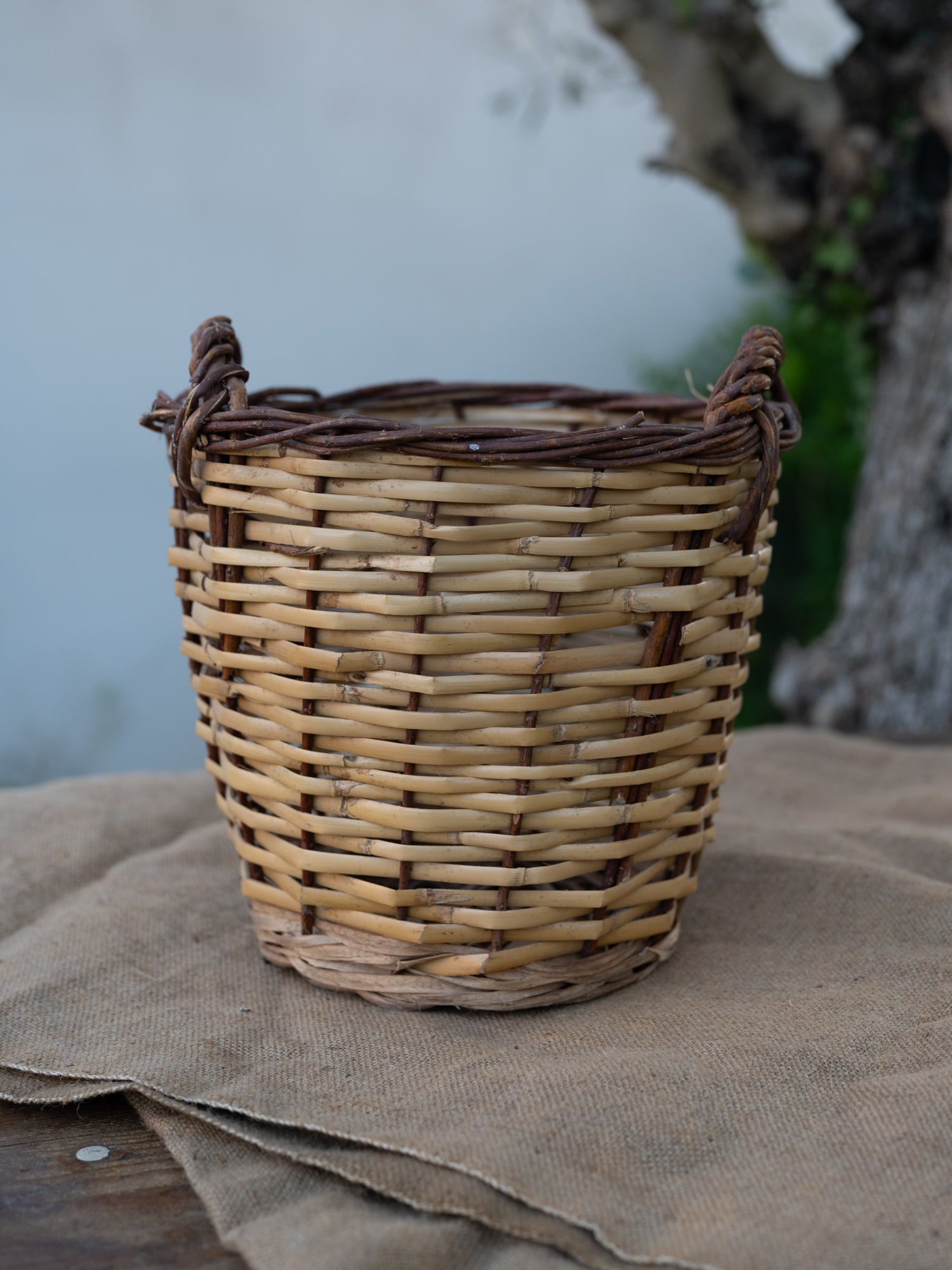 Vintage French Basket | Double Handle | Border