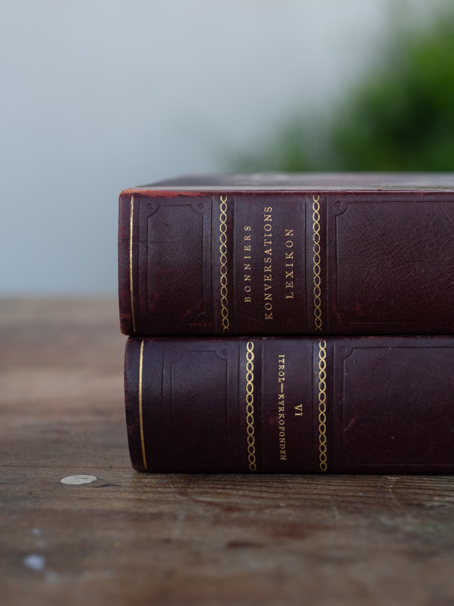Vintage French Book | Hardback | Maroon | S/2