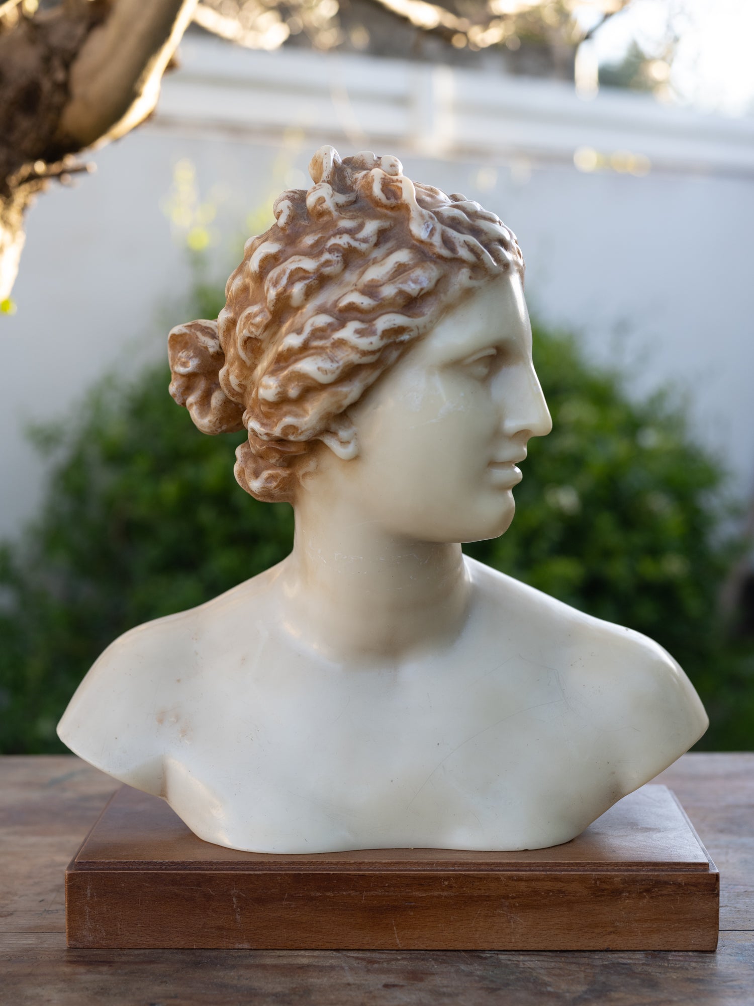 Vintage French Resin Female Bust