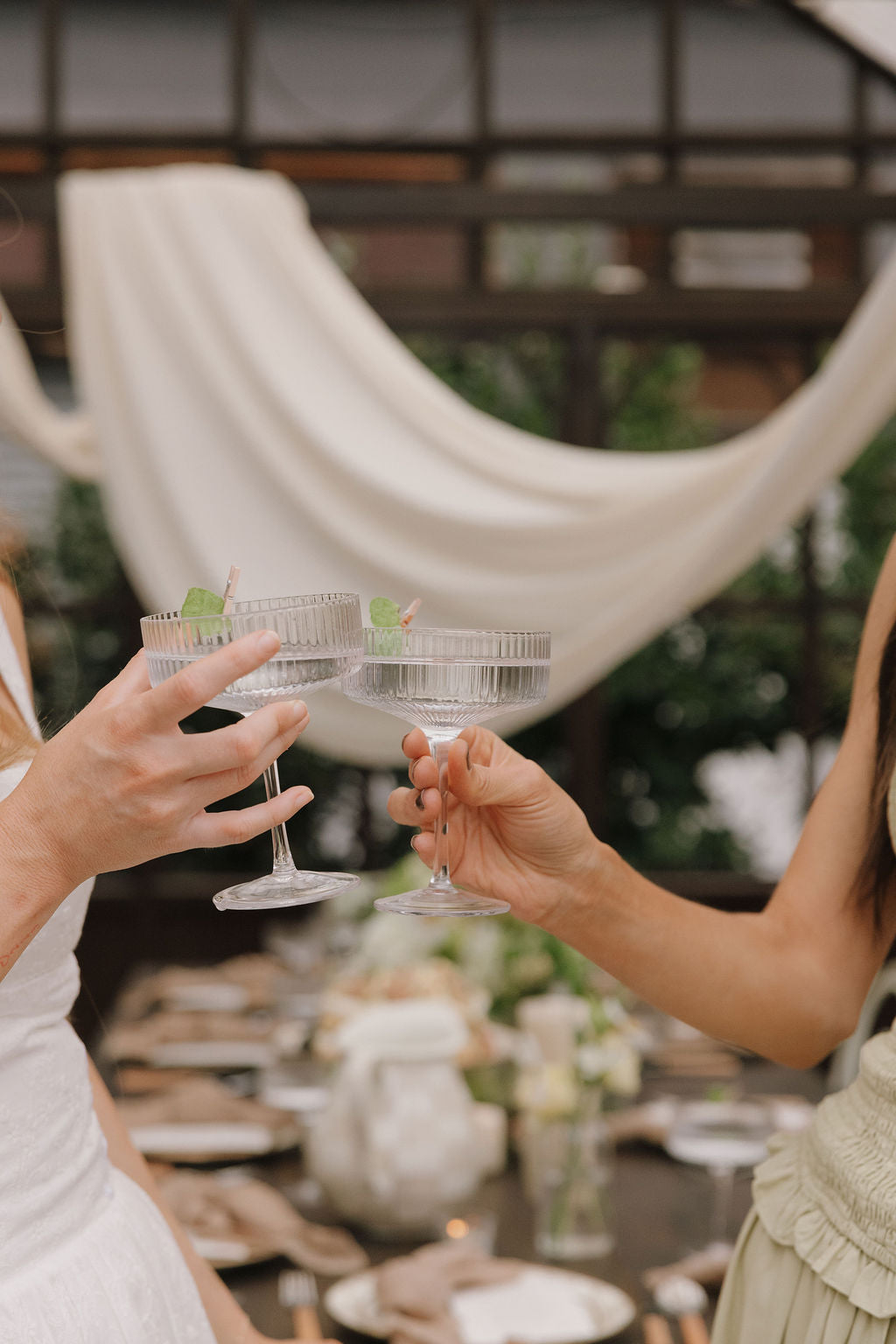 Greenhouse Photoshoot Rental (One Hour)