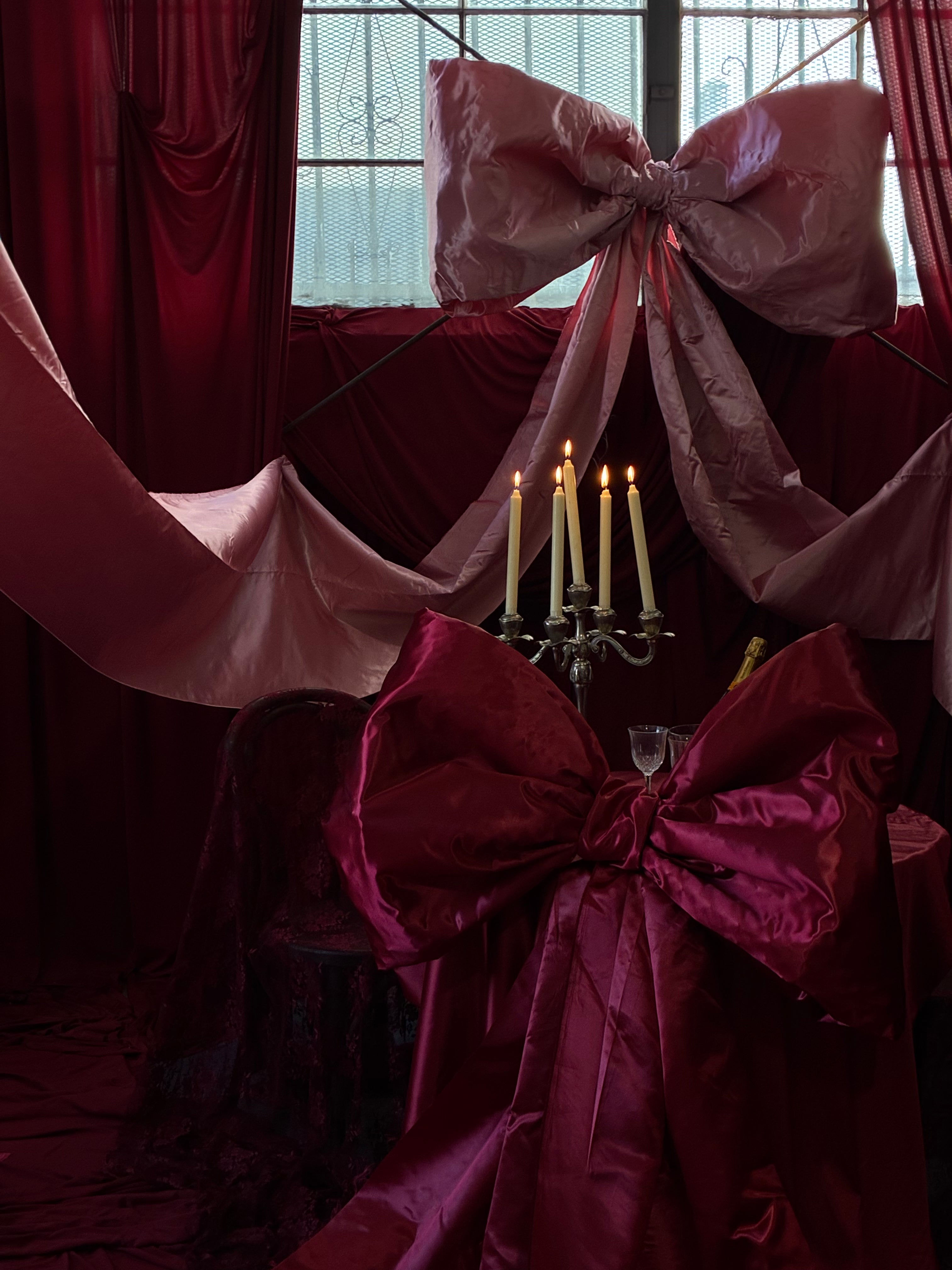 Photo Studio Session (Valentines Edition)