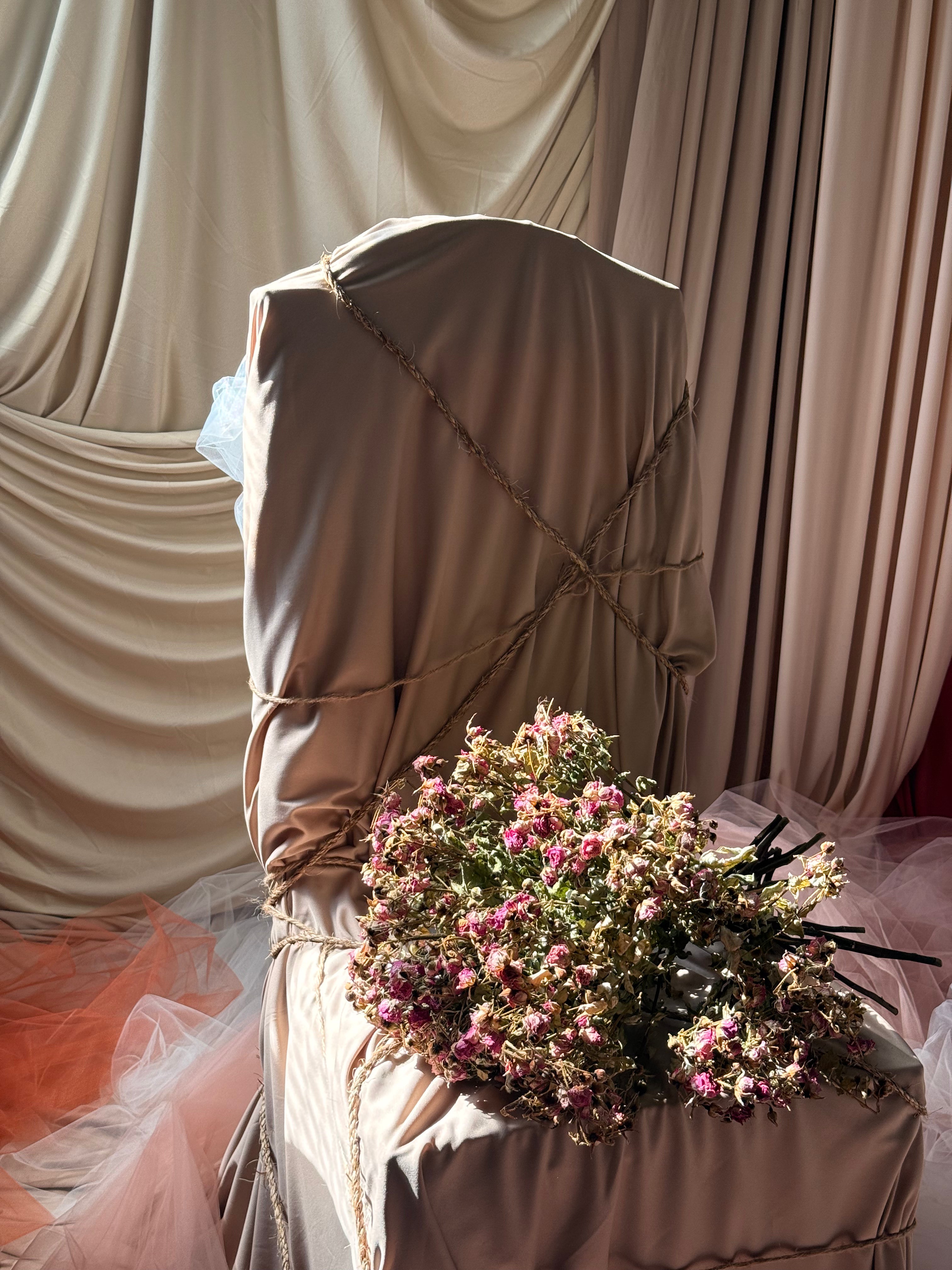 Photo Studio Session (Holiday Edition)