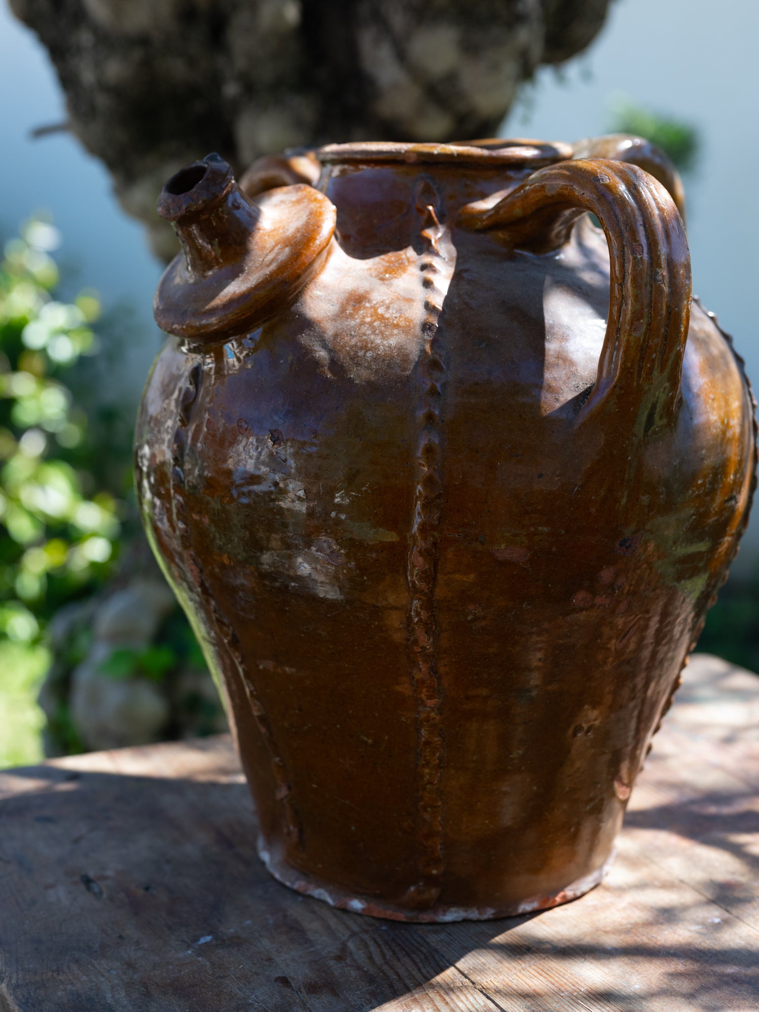 Rare 19th C. French Walnet Oil Jar