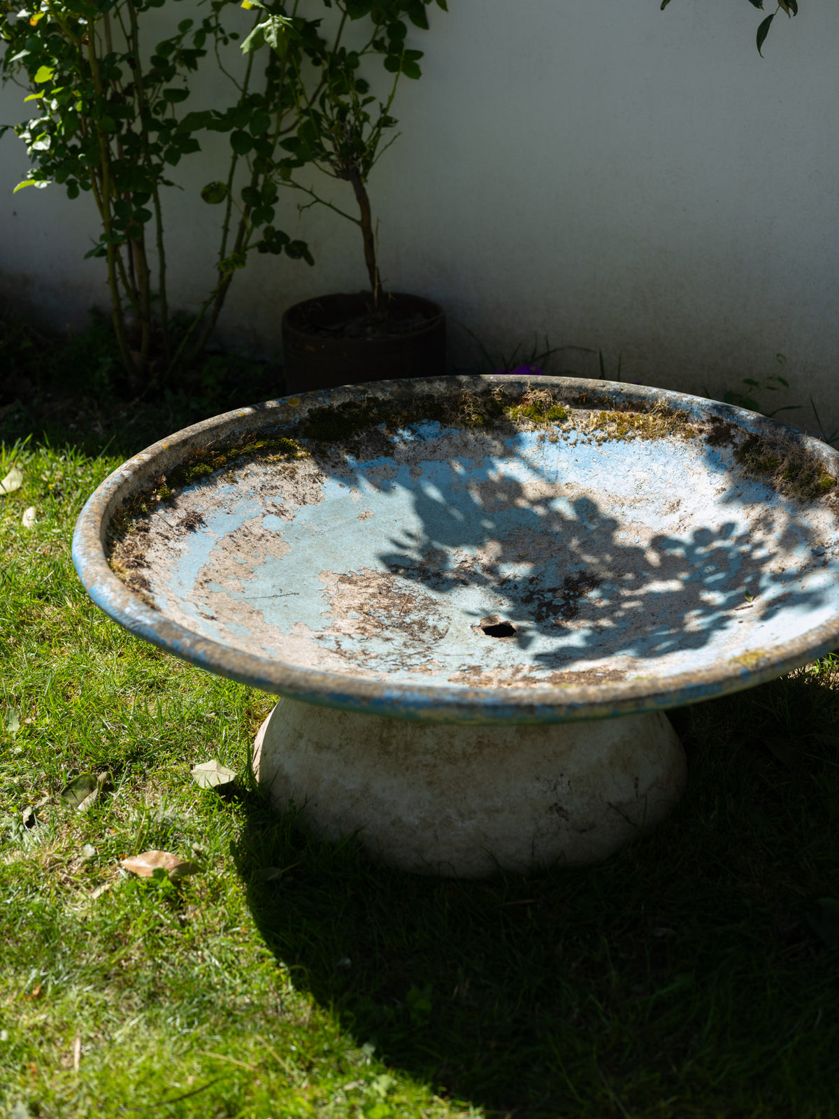 Willy Guhl Disc Planter | French Blue