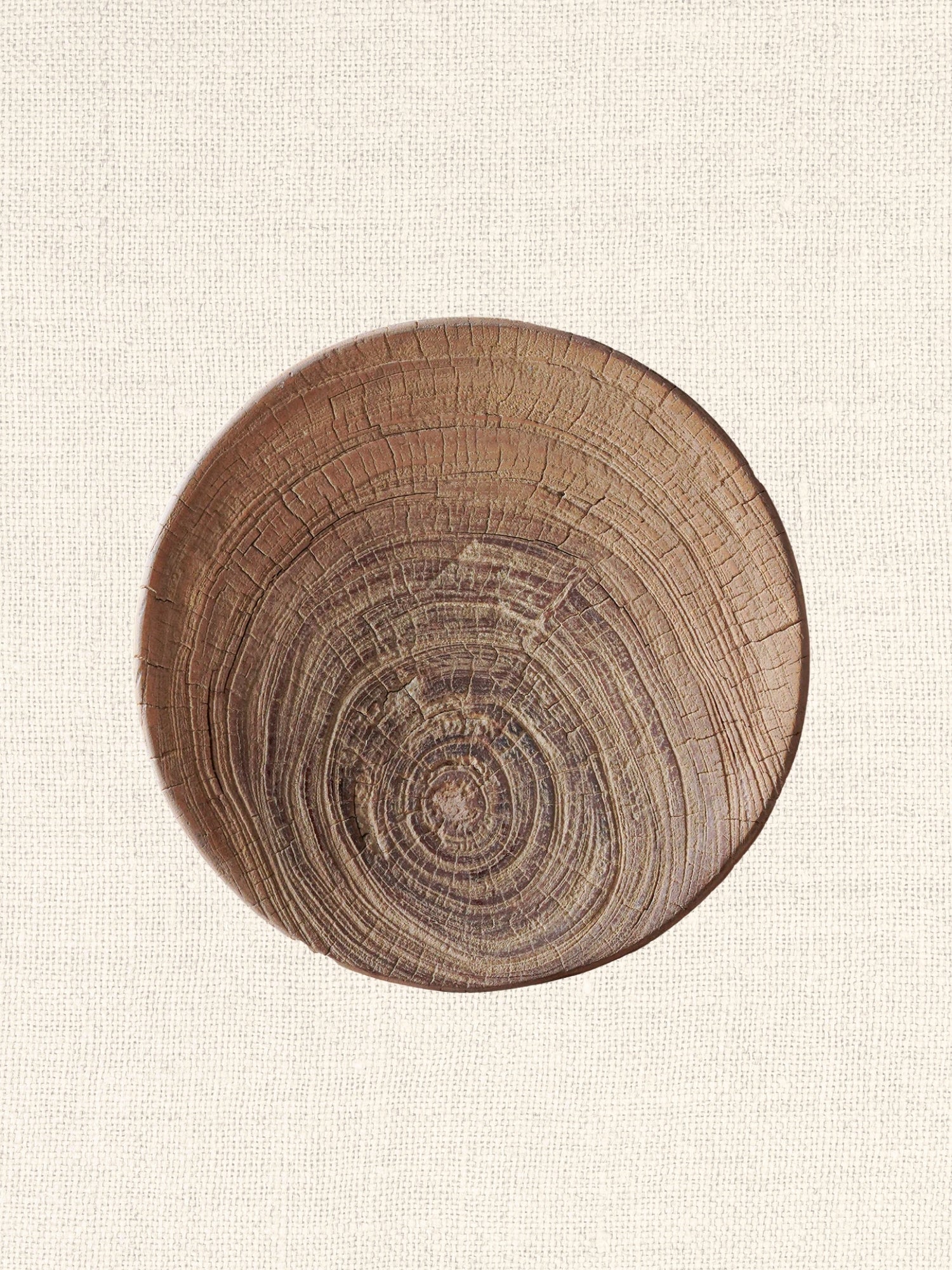 Rustic Plant Pedestal | Stool