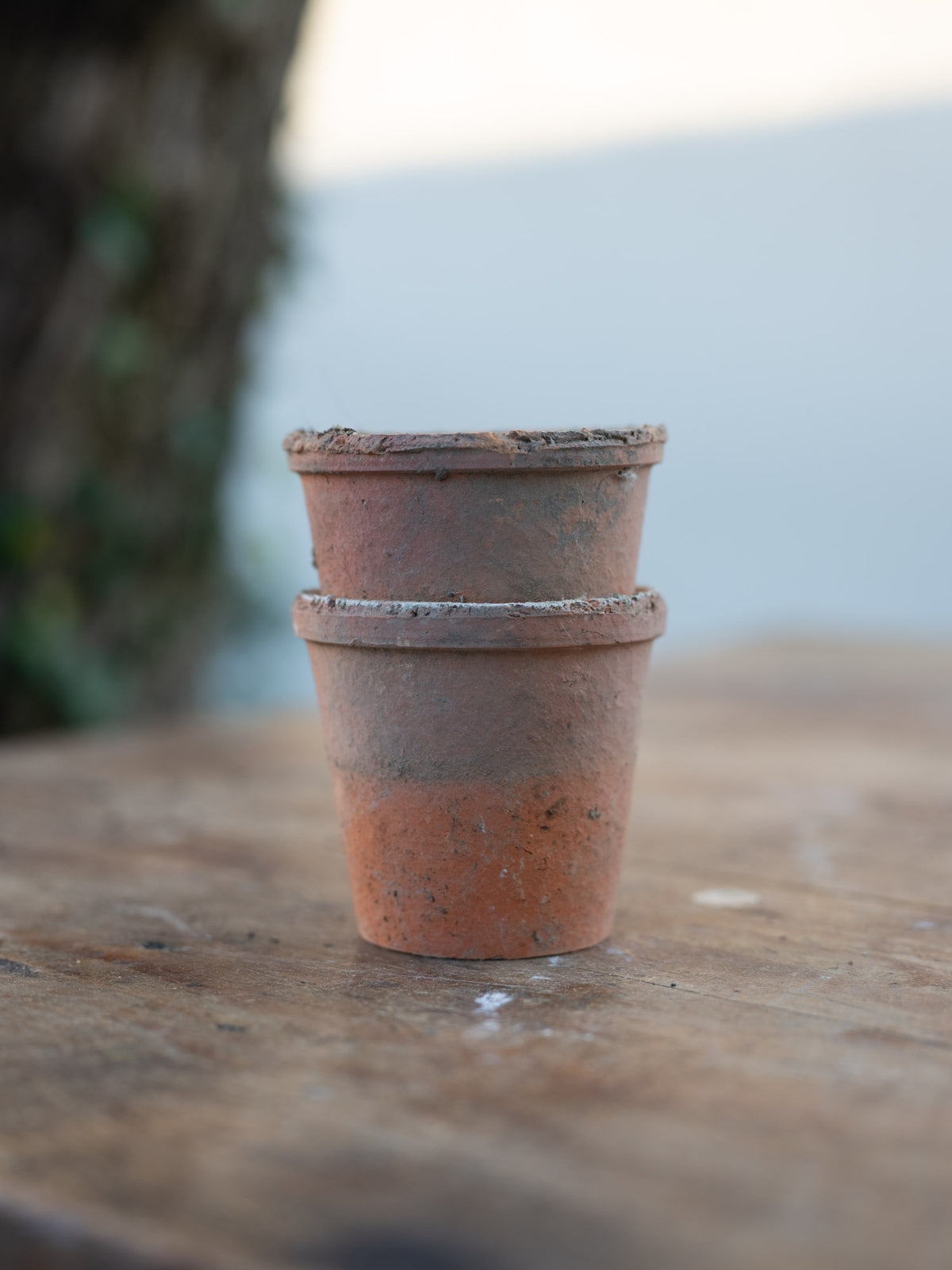 Vintage French Terracotta Planters | Tiny
