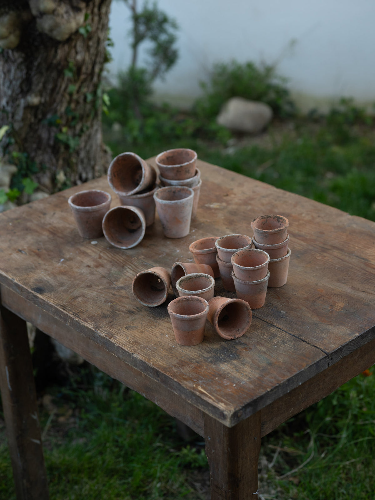 Vintage French Terracotta Planters | Tiny