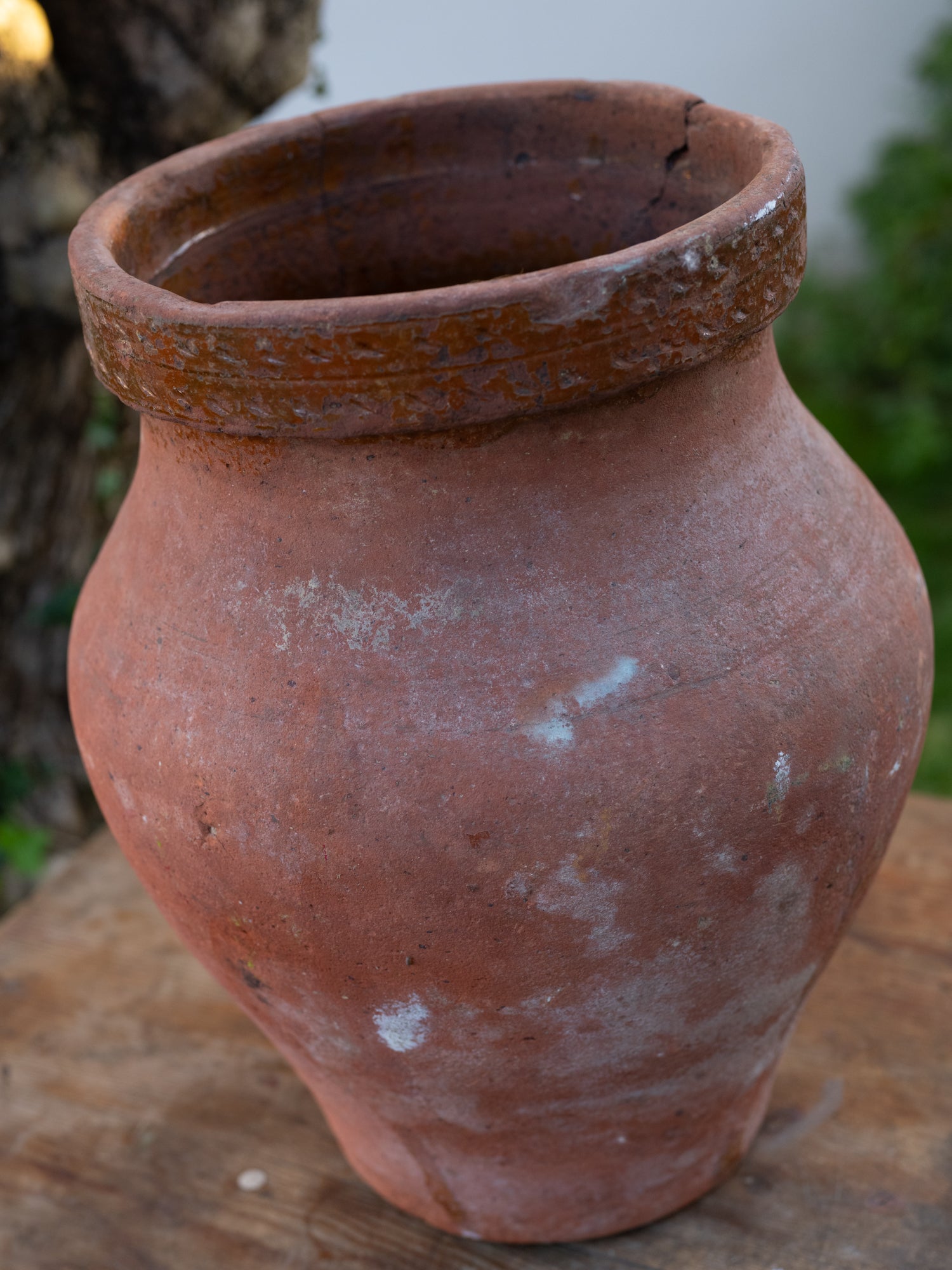 Vintage Moroccan Coastal Jar | Short | Terracotta