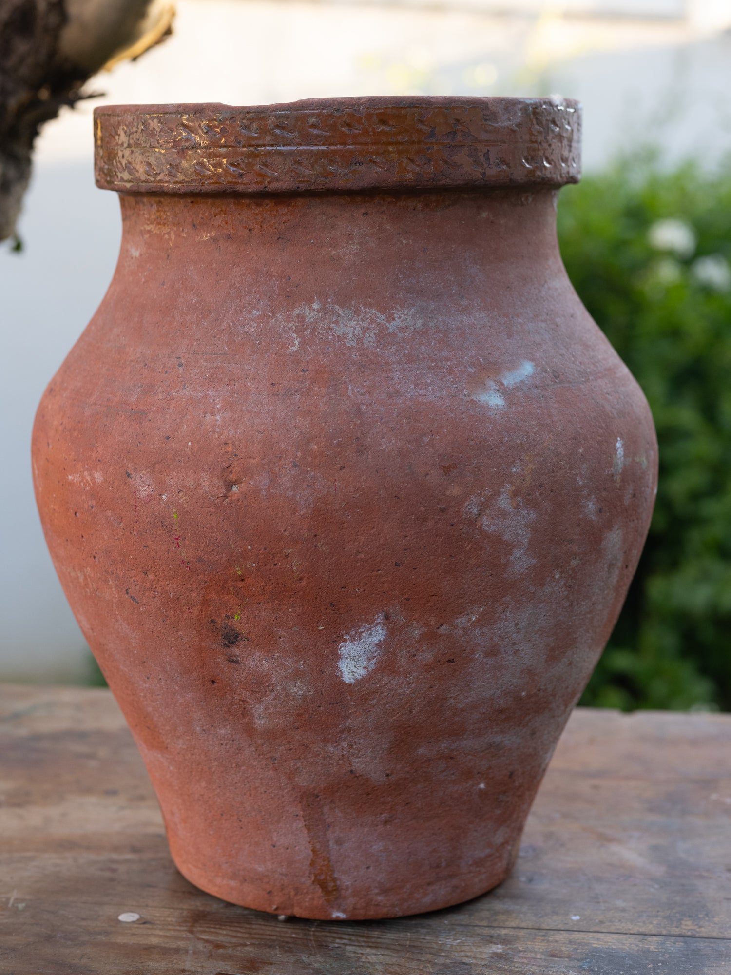 Vintage Moroccan Coastal Jar | Short | Terracotta