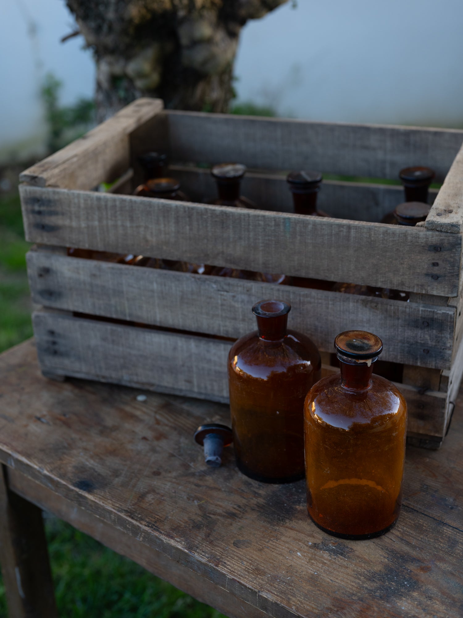 Vintage French Apothecary Bottles | Wide