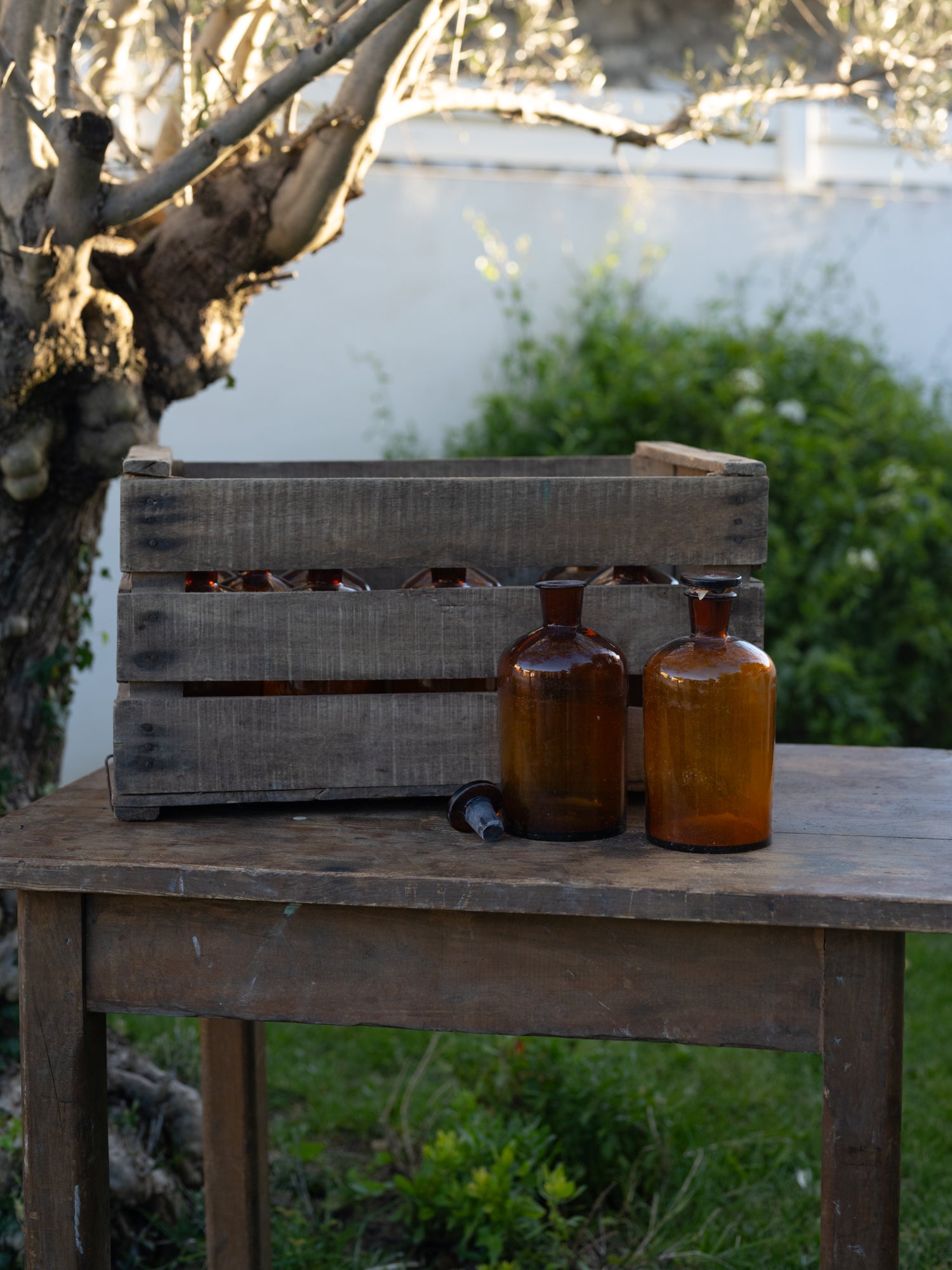 Vintage French Apothecary Bottles | Wide