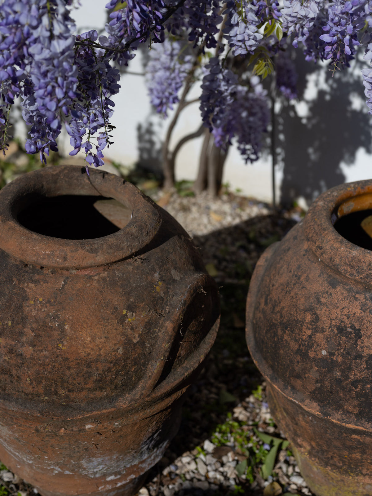 Antique French Olive Jar | Ribbed Collar
