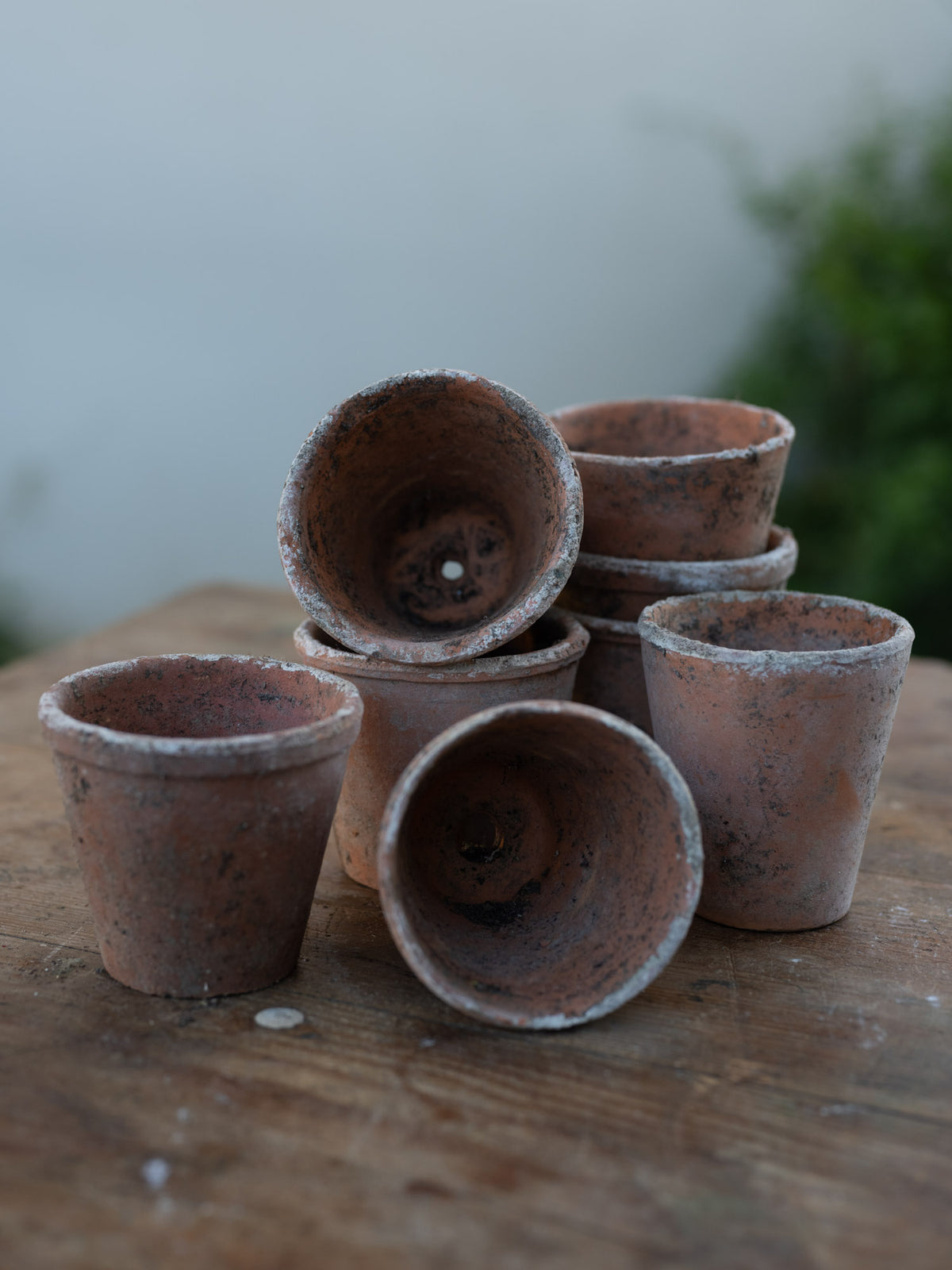 Vintage French Terracotta Planters | XS