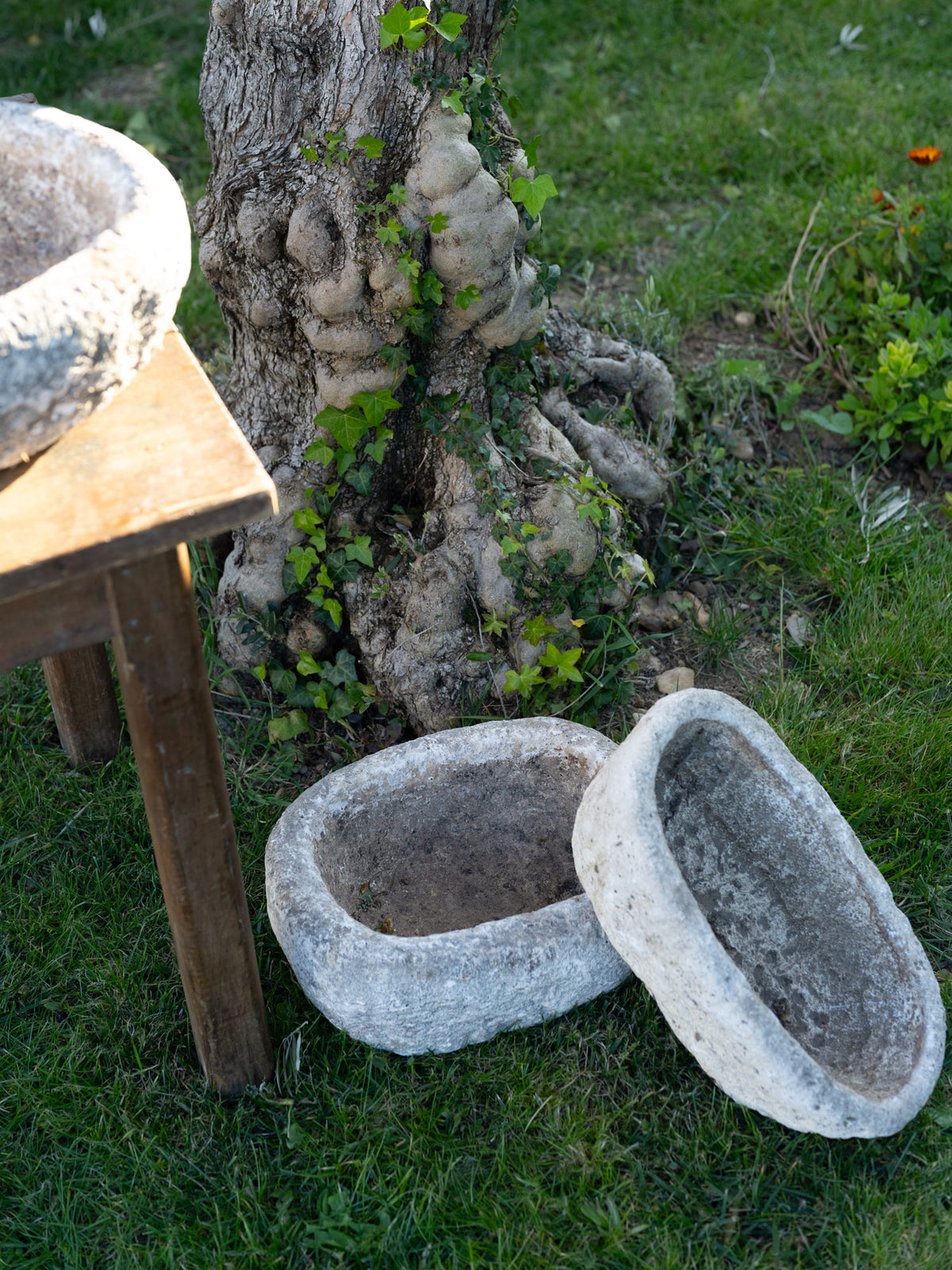 French Carved Stone Trough | Mini