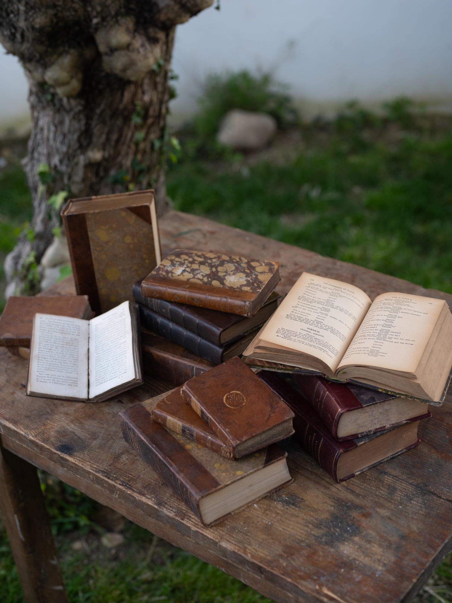 Vintage French Book | Hardback | Small Dark | S/3