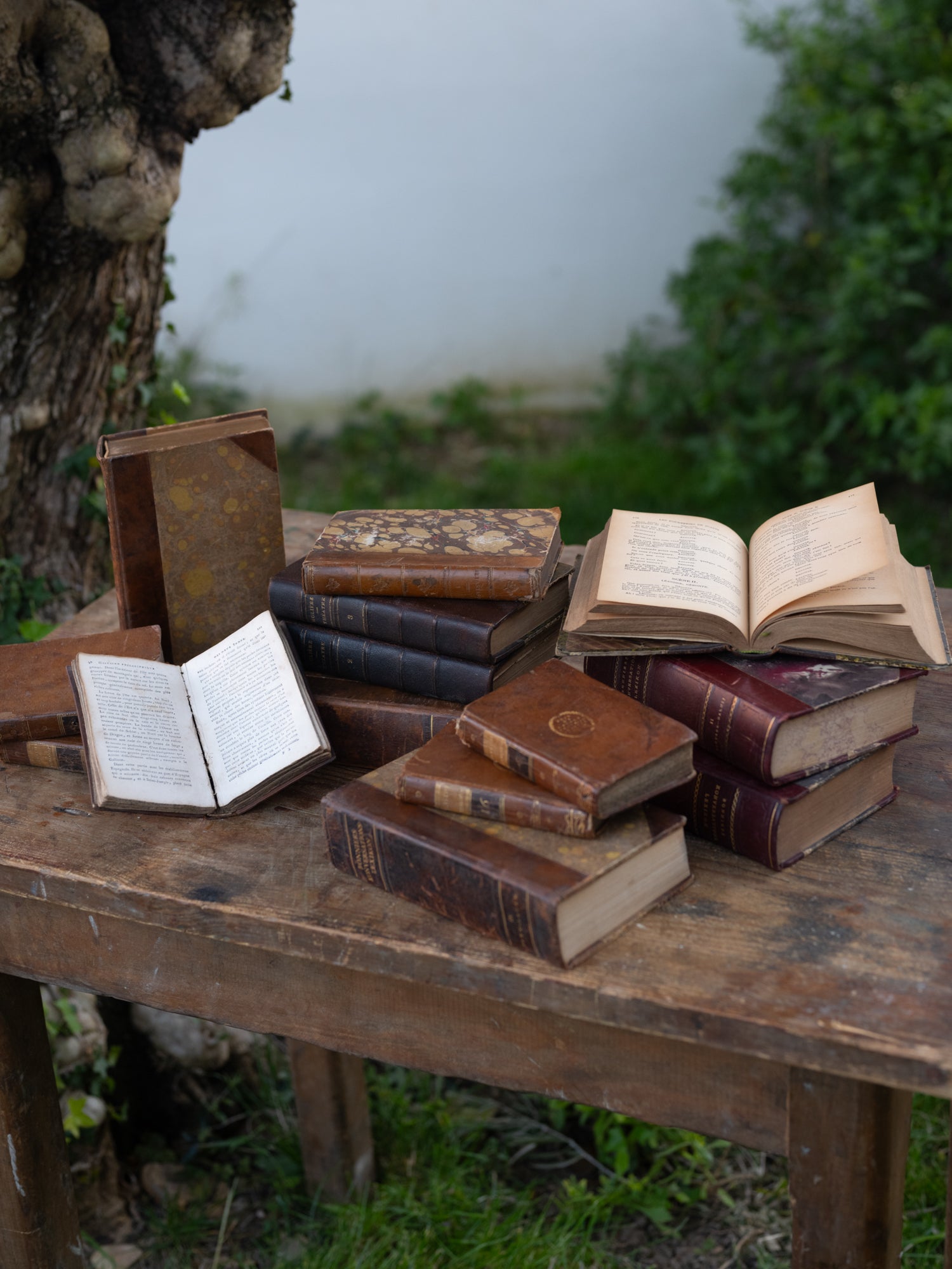 Vintage French Book | Hardback | Brown | S/5