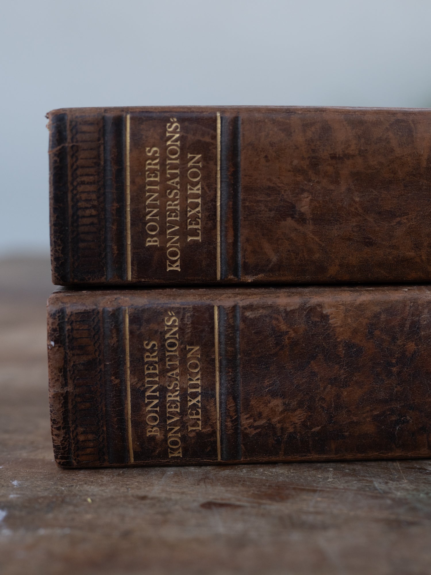 Vintage French Book | Hardback | Large Brown | S/2