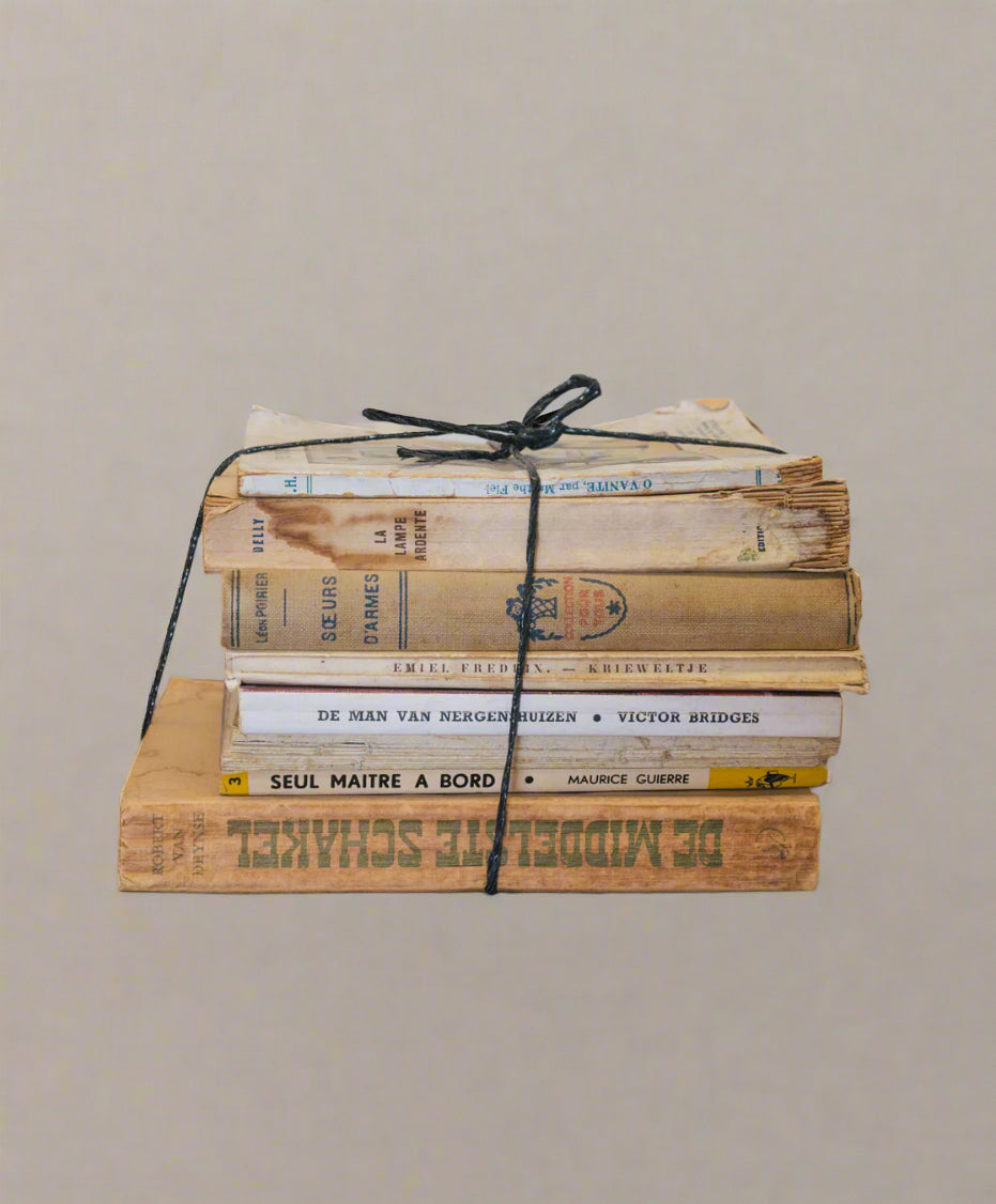 Vintage French Book Stack