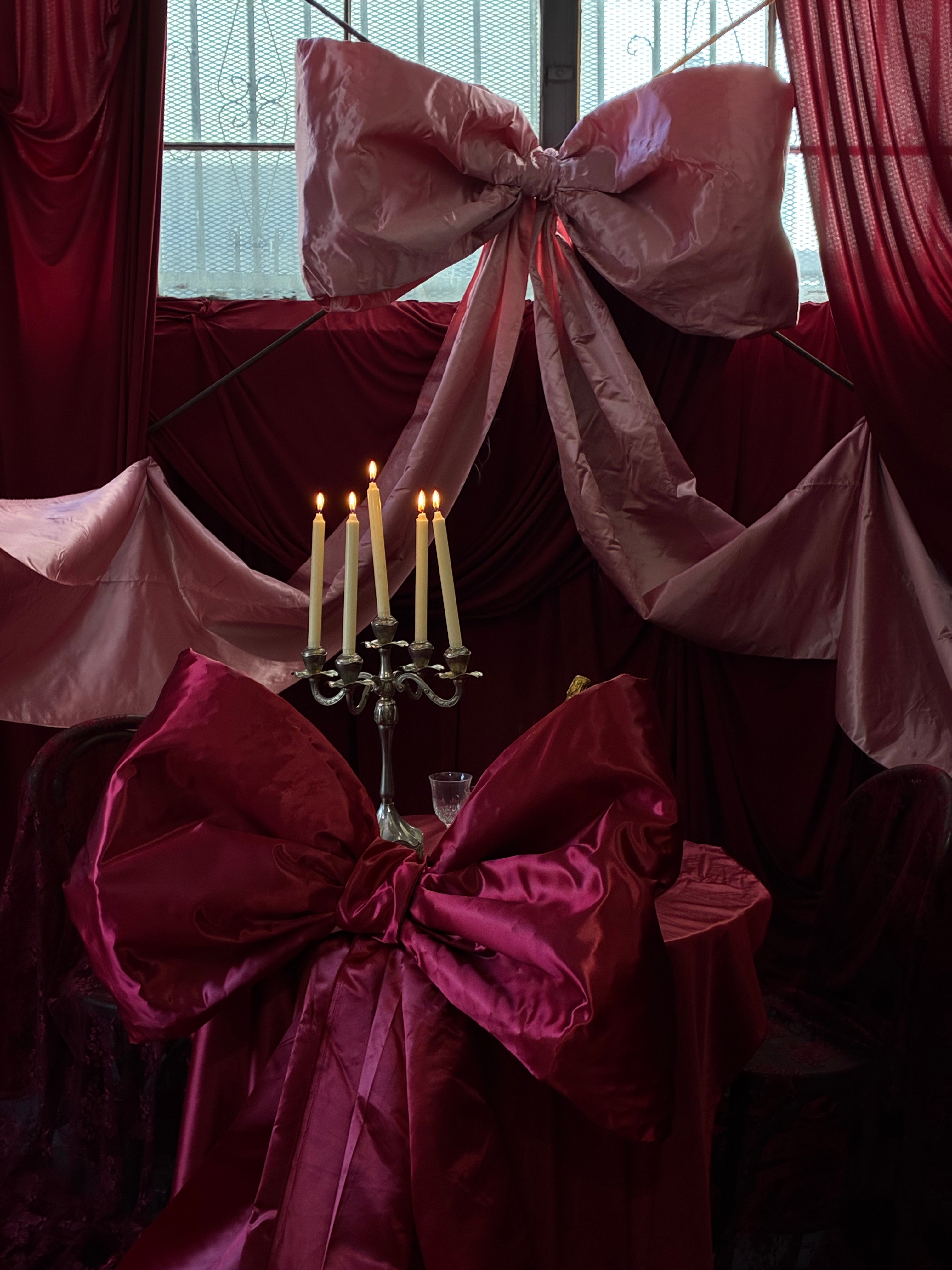 Photo Studio Session (Valentines Edition)