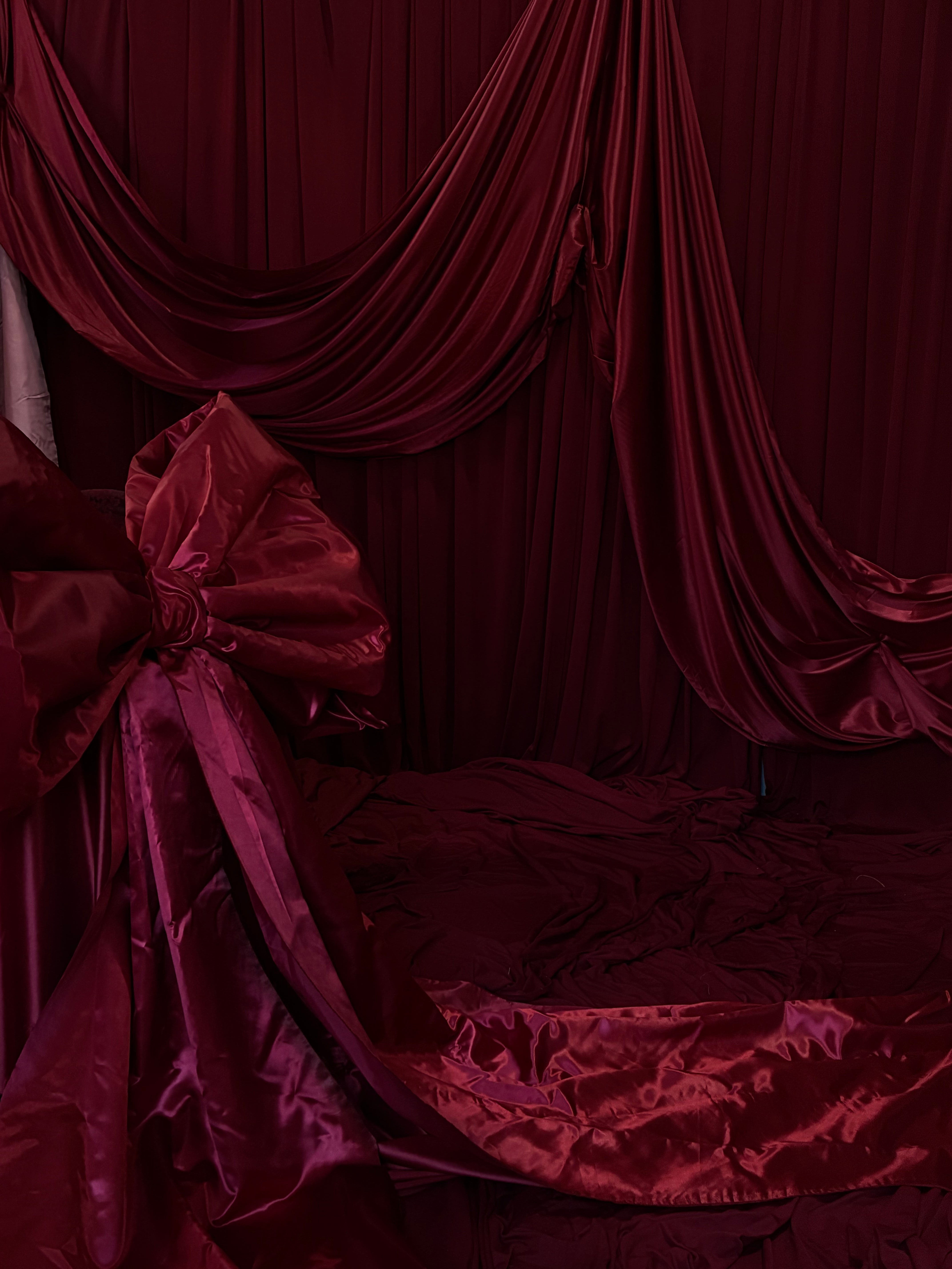 Photo Studio Session (Valentines Edition)