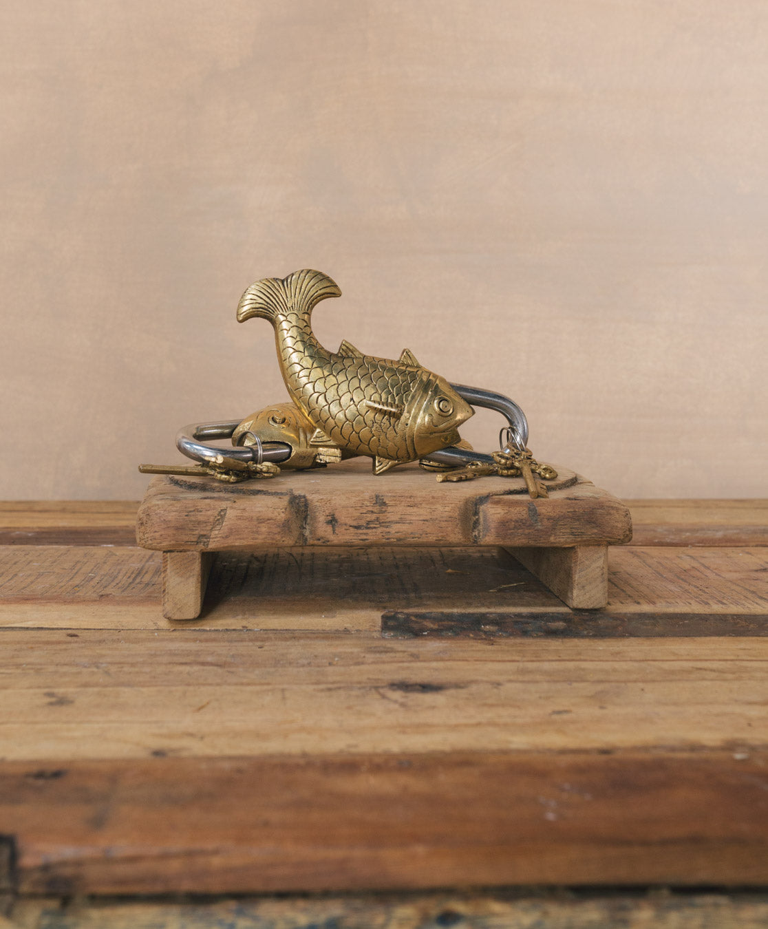 Brass Lock | Fish