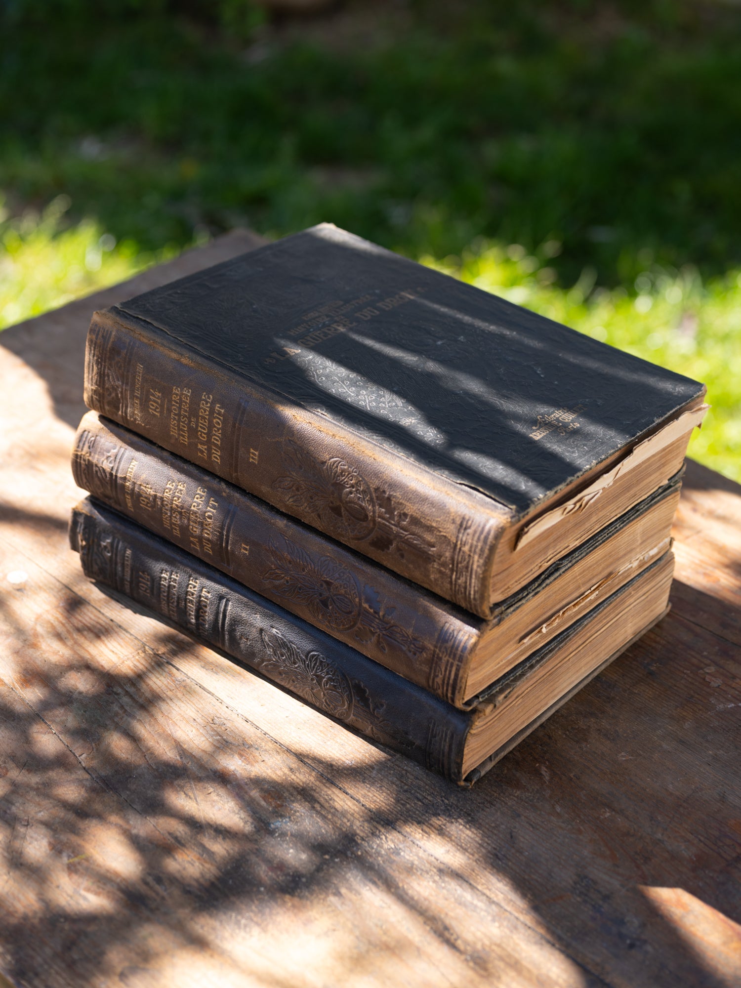 French History Illistrations Books | S/3
