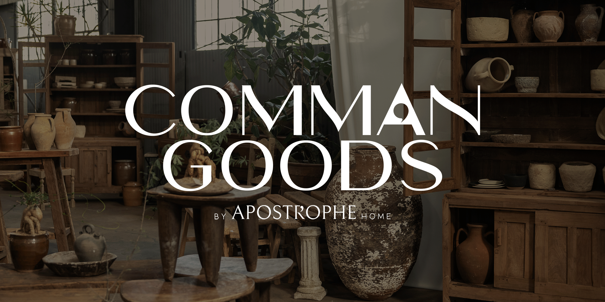 What is Comman Goods?